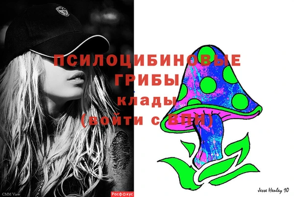прущие крисы Зеленокумск