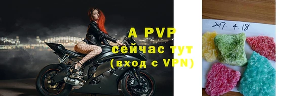 стафф Инта