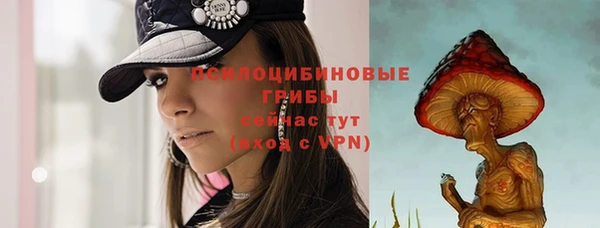 apvp Инсар