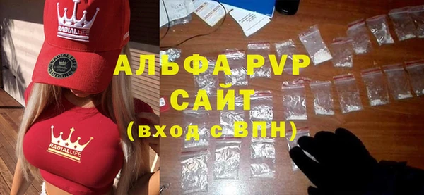 apvp Инсар