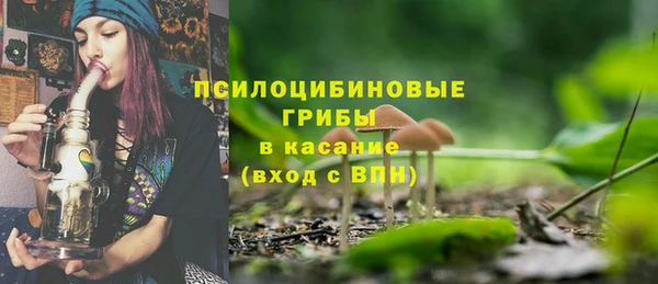 apvp Инсар